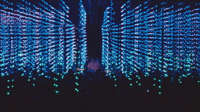 Four Tet - Teenage Birdsong - © Diplomats